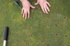 Forest Park Golf Course opens for season