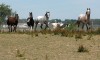 Indiana drought worsening