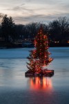 Hobart officials hope floating Christmas tree will become annual tradition