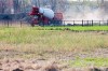 Field of Dreams near completion