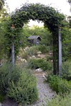 Secret Garden? Tips for creating backyard privacy