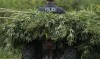 Cops pull 5,000 marijuana plants