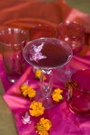 A sweet cocktail with a sassy name