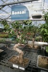 St. John-Alsip Home and Garden