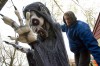 Ravenfall Manor aims to grow for a good cause