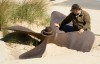 J.D. Marshall lies just offshore of Indiana Dunes State Park