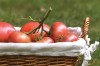 Every heirloom vegetable