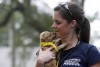 4 arrested, 20 dogs seized in dogfighting raid