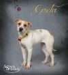 Greta