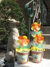 OFFBEAT: Popular 'flower pot' prizes included at weekend's Garden Show Event