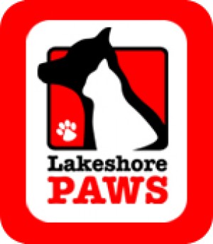 Pet Rescue and Animal Adoption Day