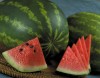 Seeded and Unseeded Watermelon