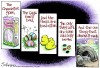 The Daily Fix