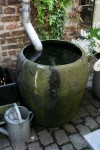 Gardening-Rainscaping