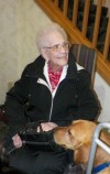 Barnabus the comfort dog