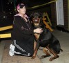 Dog unearths remains in Hammond