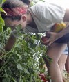 Harvest bountiful at UI student farm