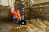 NWI farms face stricter federal rules that ban many tasks for minors