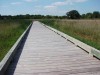 Landscape architects angle for respect