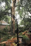 Storms pass through south suburbs without inflicting their wrath