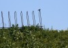 Toxic dump off-limits to wildlife