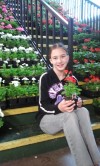 Geraniums bloom for 4-H sale