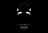 OFFBEAT: CNN snags rights to 'Blackfish' doc about local Sea World trainer