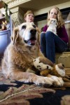 Animal welfare groups: Don't buy pet store puppies