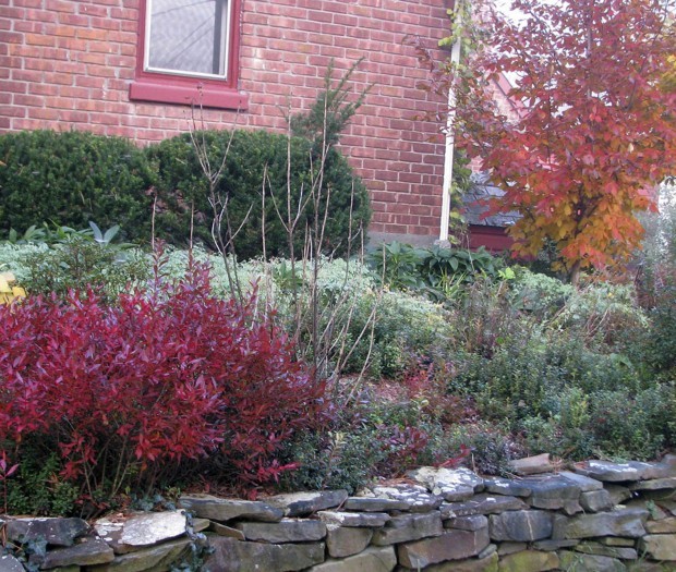 Heath beds require some soil preparation