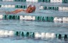 Racquel Pribyl swims in the Valparaiso Junior Triathlon on Saturday.