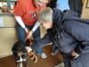 Humane society hosts Black Friday promotion