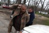 Warrant sweep nets about 20 alleged criminals