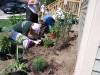 Teams of Volunteers working on Lowell Habitat Home