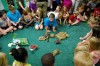 Amphibian fun at the Crete library
