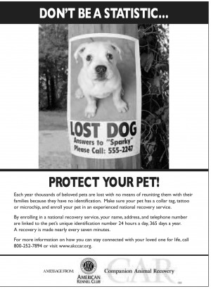 More pets missing, but Web comes to the rescue