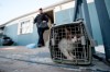 Dozens of animals removed from mobile home
