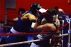 Wynten Ellis will compete in the Chicago Golden Gloves championship