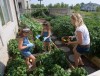 Growing Importance: Families share summer garden bounties for local food pantry cause