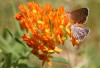 Earth Day sheds light on climate change close to home