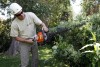 Water, mulch key in preparing trees for winter  