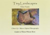 Tiny Landscapes