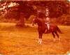 Breed has long history in the United States