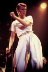 David Bowie 1978