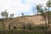 Tracking environmental restoration, stem by stem