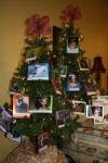 St. John pet store sponsors second annual fundraiser