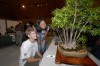 Living art: Bonsai teaches lifelong lessons