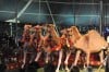 Dancing dromedaries