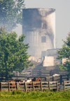 All 40 horses spared in Schererville barn fire