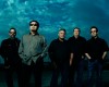 Los Lobos go unplugged