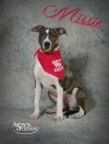Missie